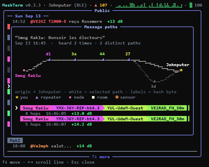 Message paths: each route over which a channel message was heard, drawn on the map