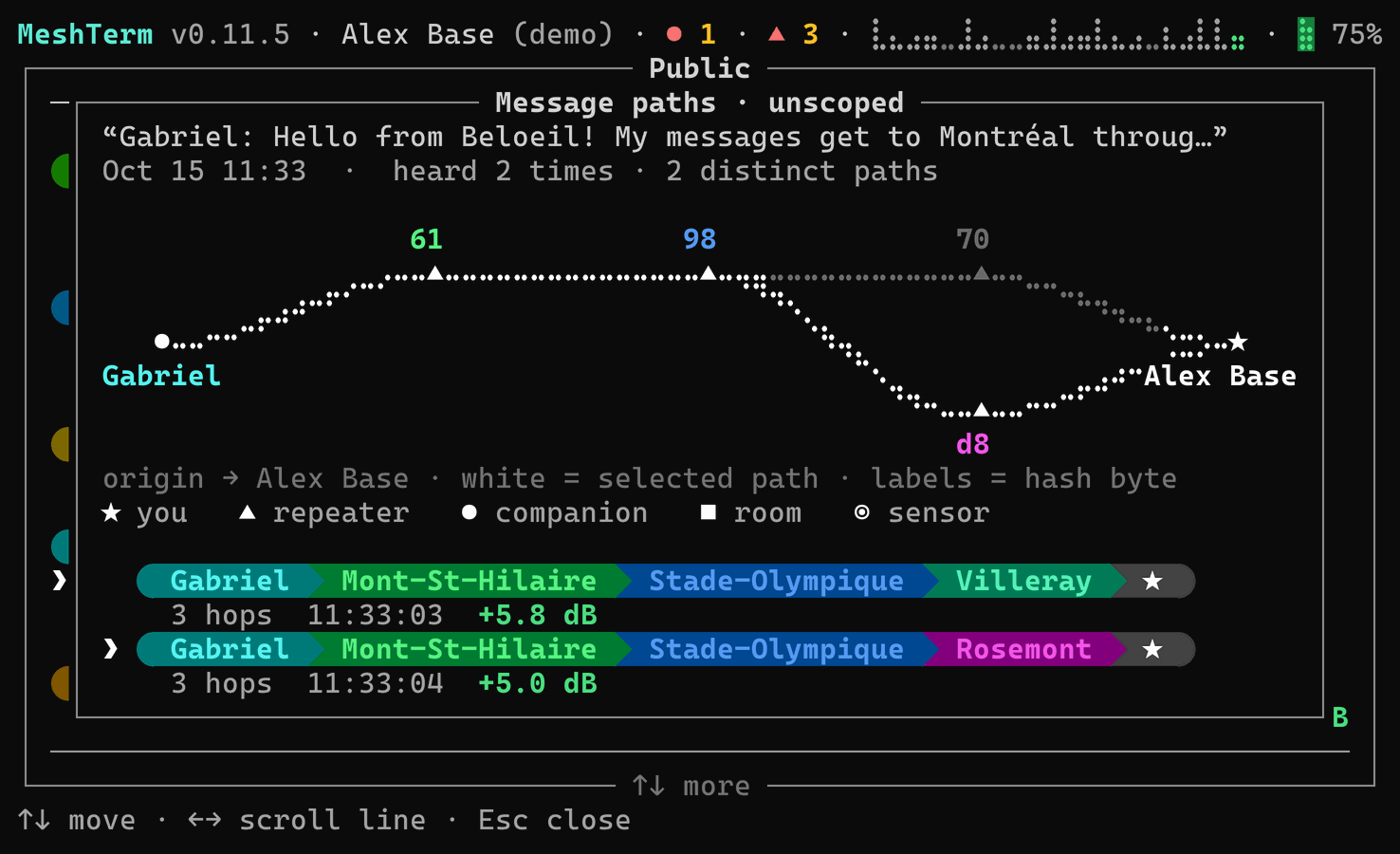 Message paths: the five paths on which one channel message arrived, drawn as a graph and as chips